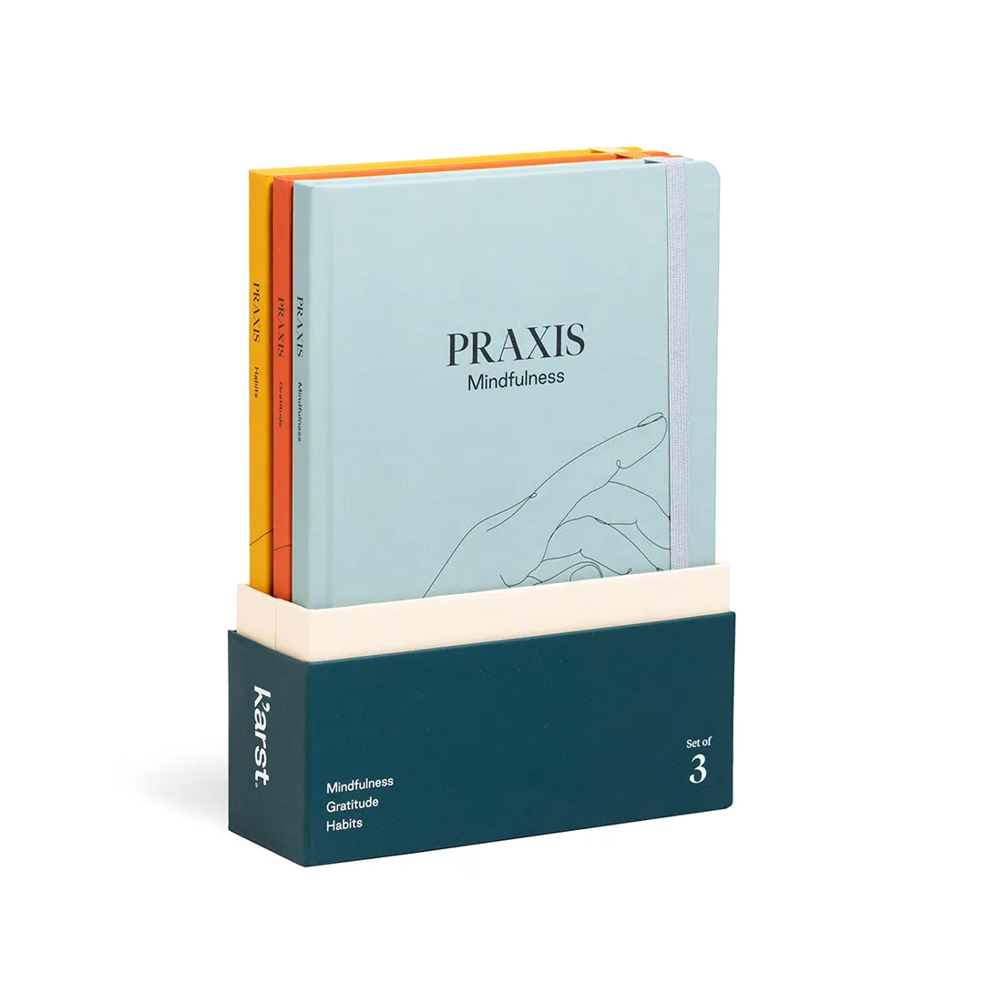 Praxis Method - Set of 3 A5 Journals