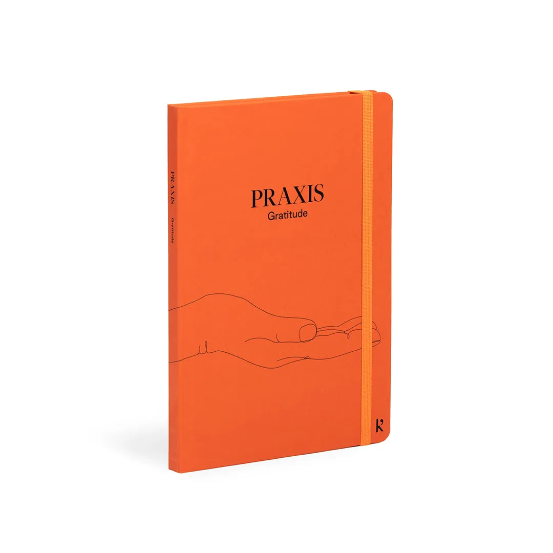 Praxis Method - Set of 3 A5 Journals